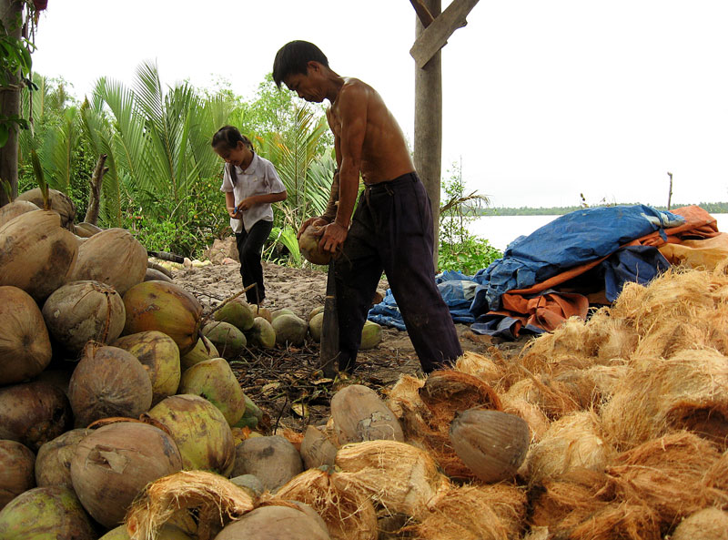 Kinh nghiệm Du lịch Bến Tre