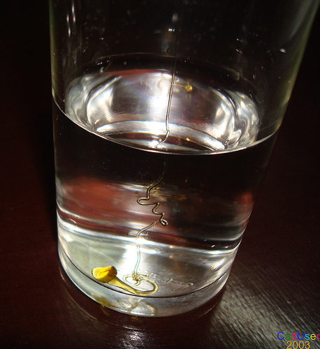 dùng nước phân biệt mật ong