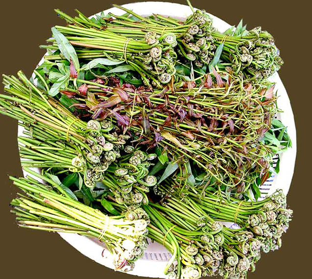 Các loại rau ăn lẩu mắm