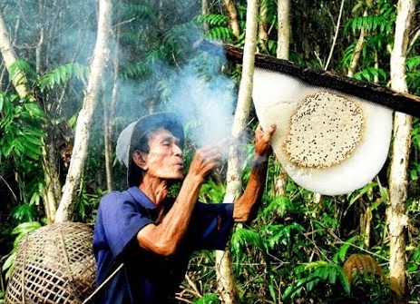 Nghề săn mật ong rừng Tràm