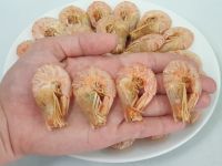 Tôm khô nguyên vỏ