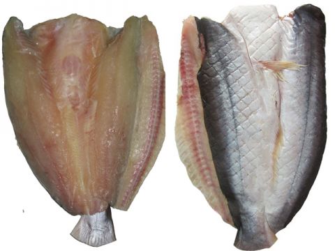 Khô cá dứa 1 nắng slide 1